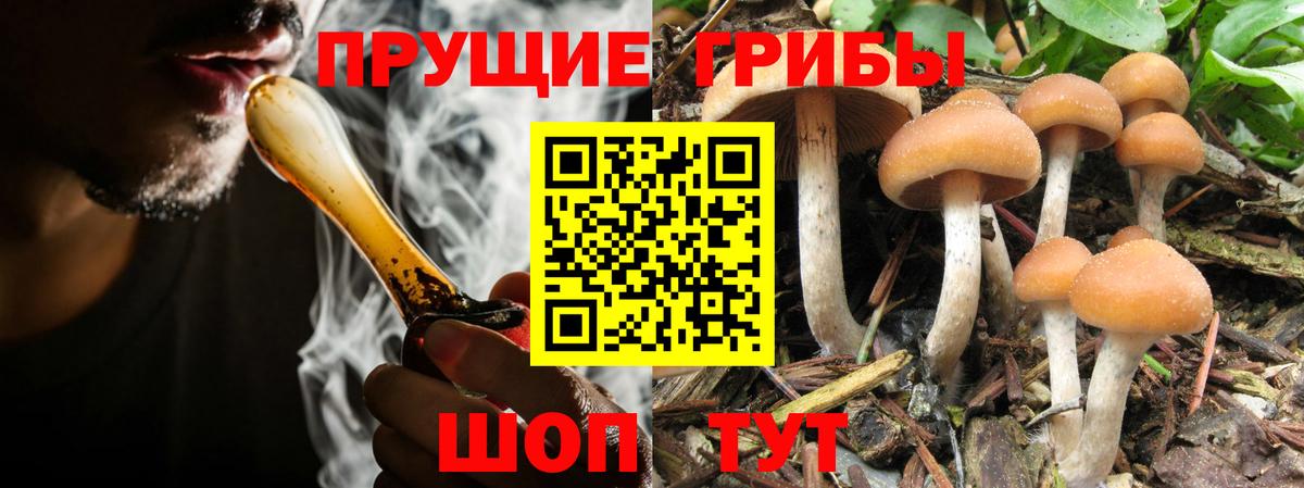 Ухта  Галлюциногенные грибы ЛСД  Вход с VPN  Галлюциногенные грибы Cubensis 