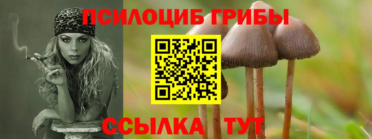 Псилоцибиновые грибы GOLDEN TEACHER Ухта